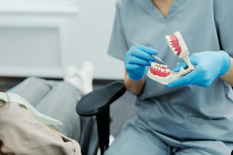 A dentist in scrubs and gloves uses a teeth model to demonstrate dental care to a patient.